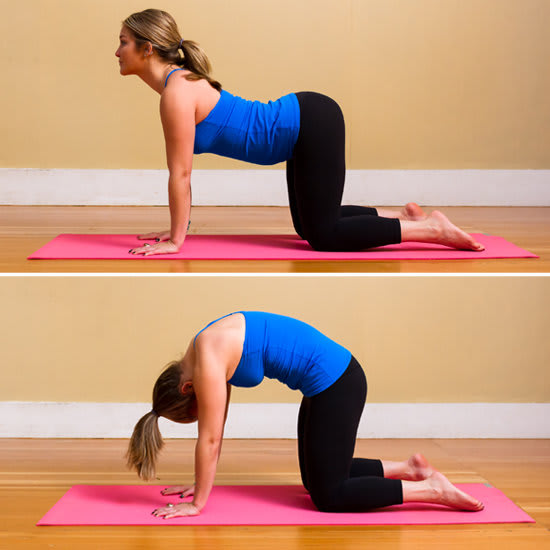 cat-cow pose